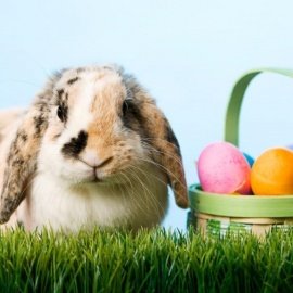 Easter 2018 in El Paso